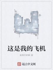 这是我的飞机