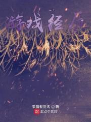 游戏经历
