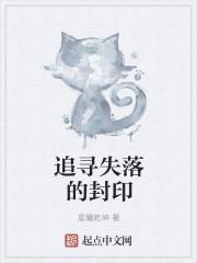 追寻失落的封印