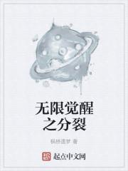 无限觉醒之分裂