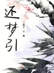 还梦引