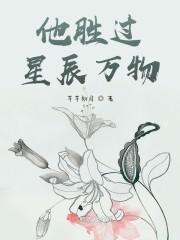 他胜过星辰万物