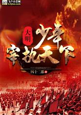 大明:少年宰执天下