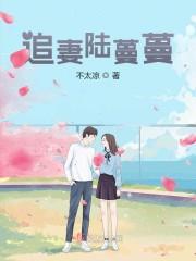 追妻陆蔓蔓