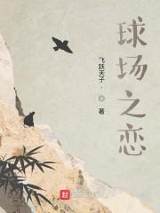 球场之恋