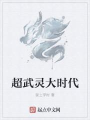 超武灵大时代