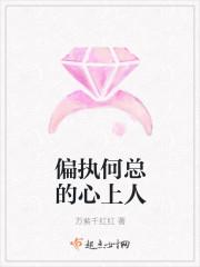 偏执何总的心上人