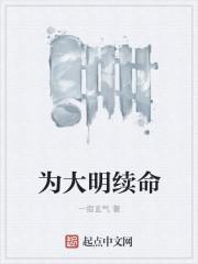 为大明续命