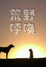 荒野呼唤