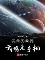 斗罗之我的武魂是手机