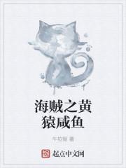 海贼之黄猿咸鱼