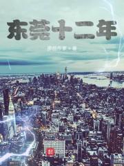 东莞十二年