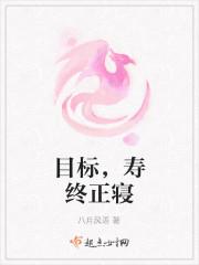 目标，寿终正寝
