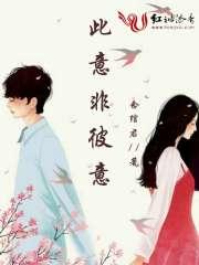 此意非彼意