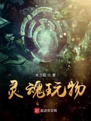 灵魂玩物