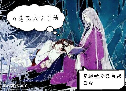 白莲花成长手册
