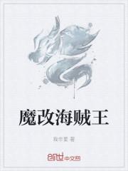 魔改海贼王
