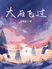 大雁飞过