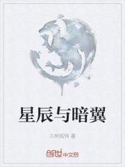 星辰与暗翼
