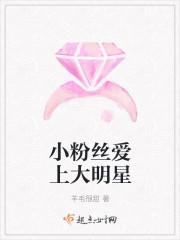 小粉丝爱上大明星