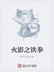 火影之铁拳
