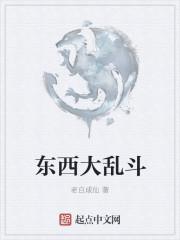 东西大乱斗