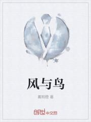 风与鸟