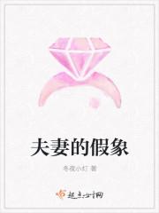 夫妻的假象