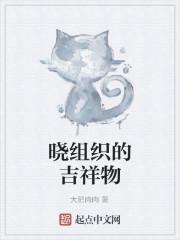 晓组织的吉祥物