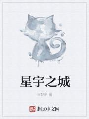 星宇之城