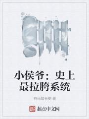 小侯爷:史上最拉胯系统