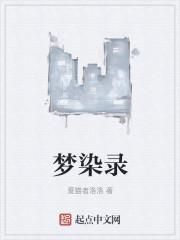梦染录