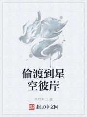 偷渡到星空彼岸