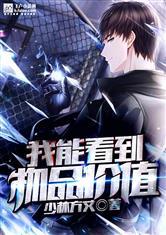 我能看到物品价值