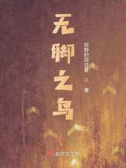 无脚之鸟