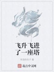 飞升飞进了一座塔
