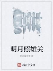 明月照雄关