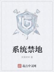 系统禁地