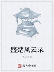 盛楚风云录