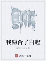 我融合了白起