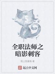 全职法师之暗影刺客