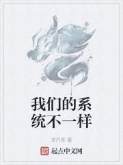 我们的系统不一样