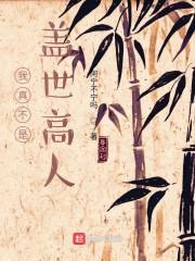 我真不是盖世高人