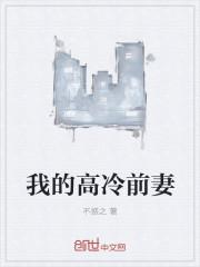 我的高冷前妻