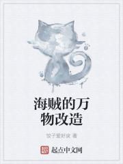 海贼的万物改造