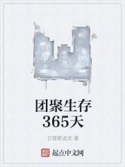 团聚生存365天