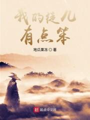 我的徒儿有点笨