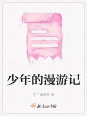 少年的漫游记