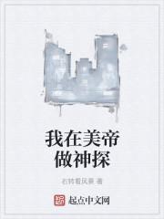 我在美帝做神探