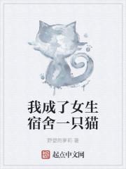 我成了女生宿舍一只猫